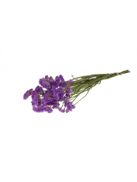 Džiovinti augalas STATICE SINUATA violetinės sp.