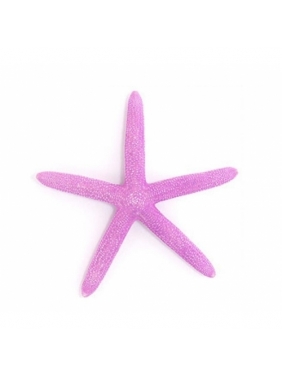 Jūros žvaigždė 17-20cm (rožinės sp.)